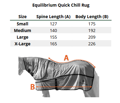 2025 Equilibrium Quick Chill Rug  Matentabel